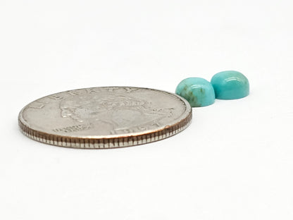 Mexican Turquoise Pair | Artisan Cut Gemstone