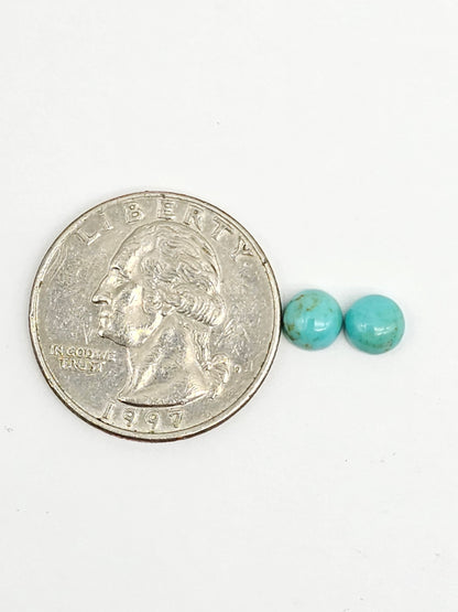 Mexican Turquoise Pair | Artisan Cut Gemstone