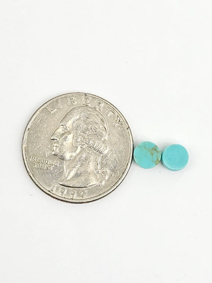 Mexican Turquoise Pair | Artisan Cut Gemstone