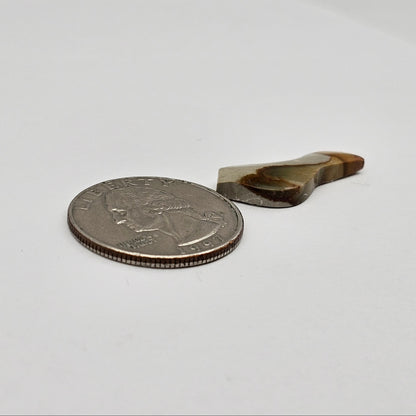 Landscape Jasper Bird Cabochon