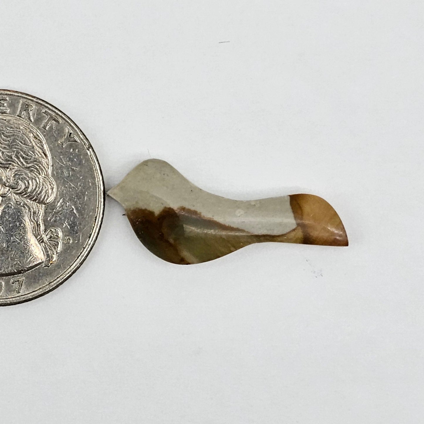 Landscape Jasper Bird Cabochon