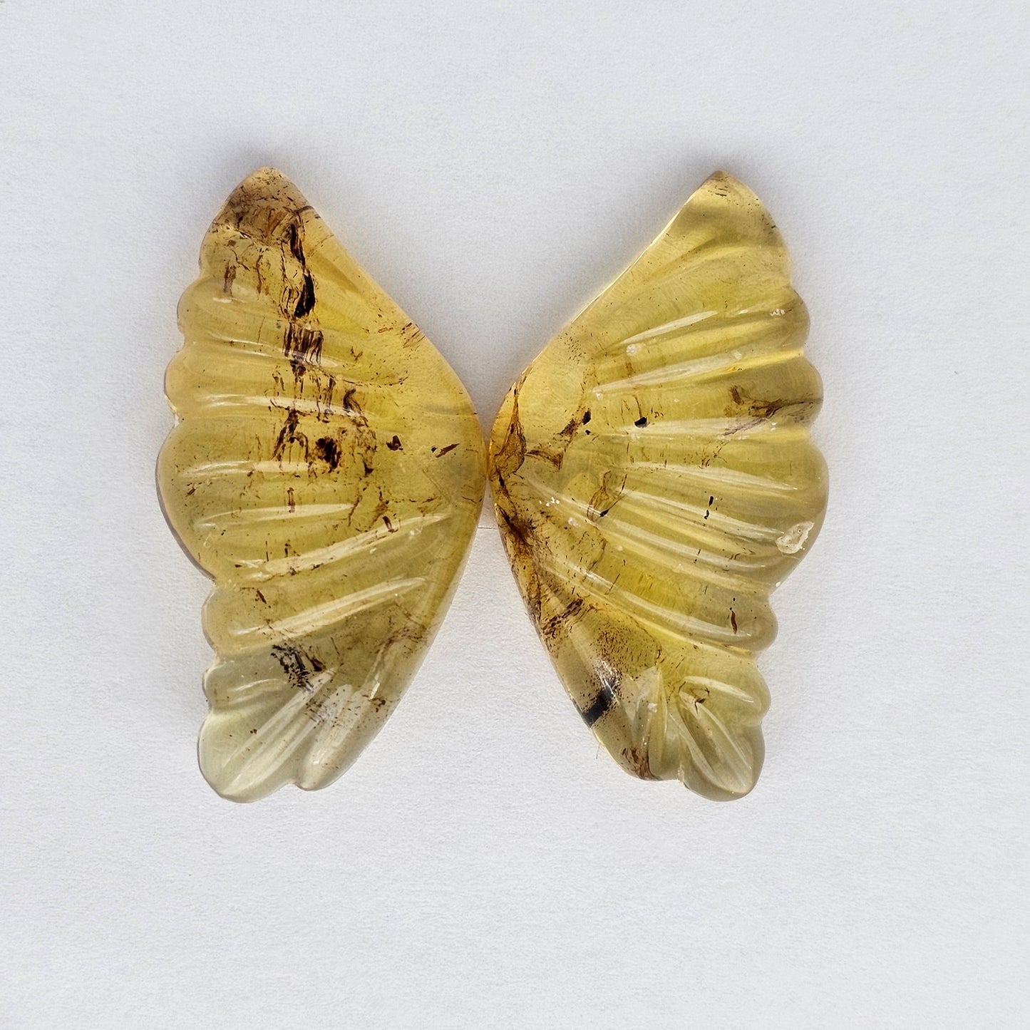 Amber authentic wings cabochon