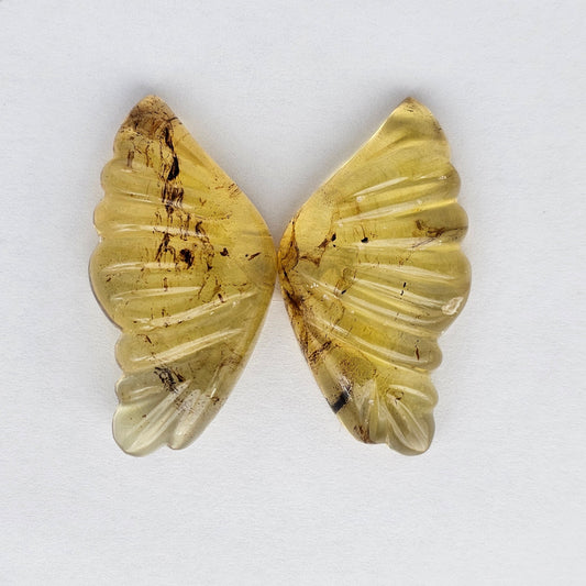 Amber authentic wings cabochon