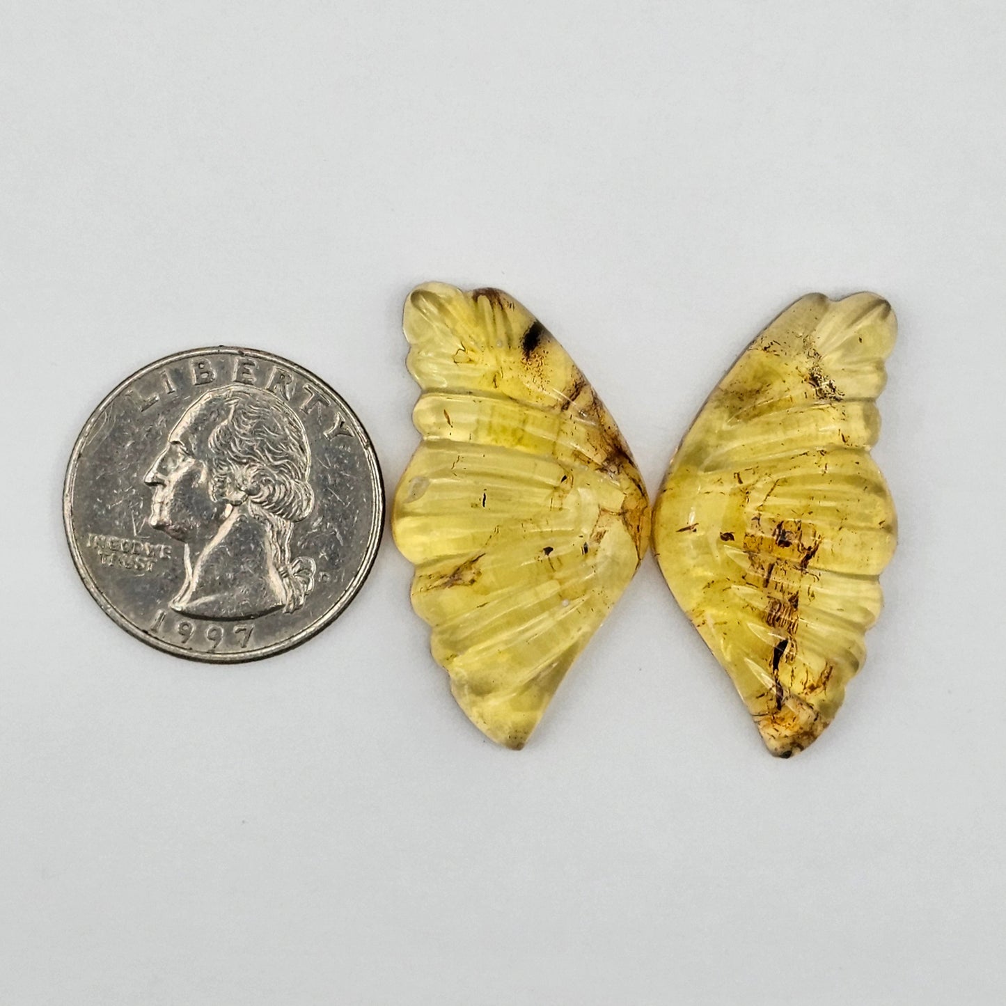 Amber authentic wings cabochon