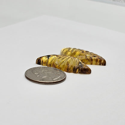 Amber authentic wings cabochon