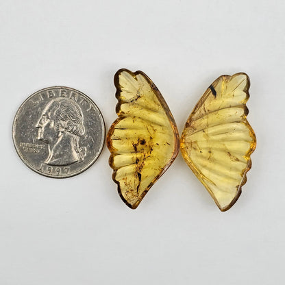 Amber authentic wings cabochon