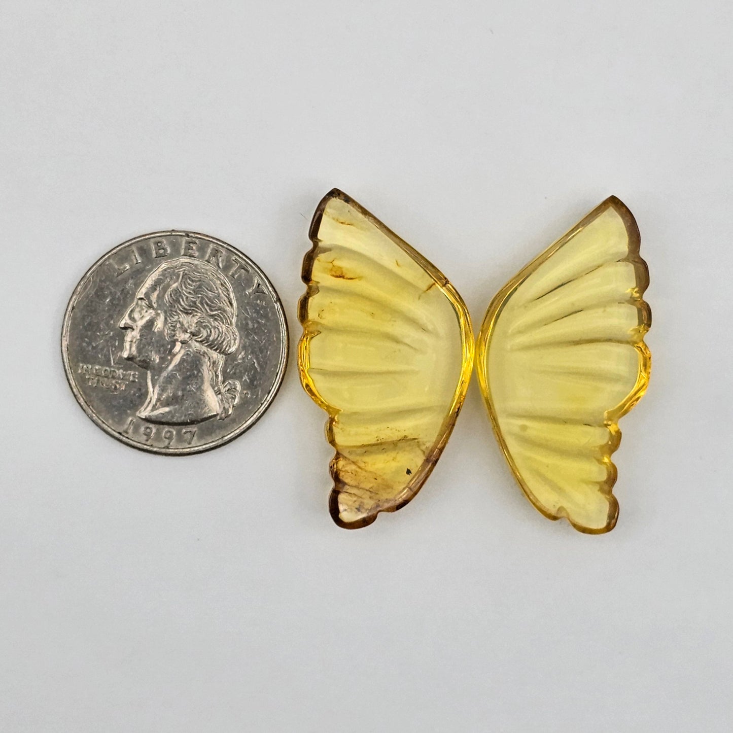 Amber authentic wings cabochon