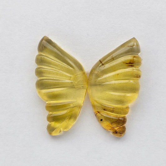 Amber authentic wings cabochon
