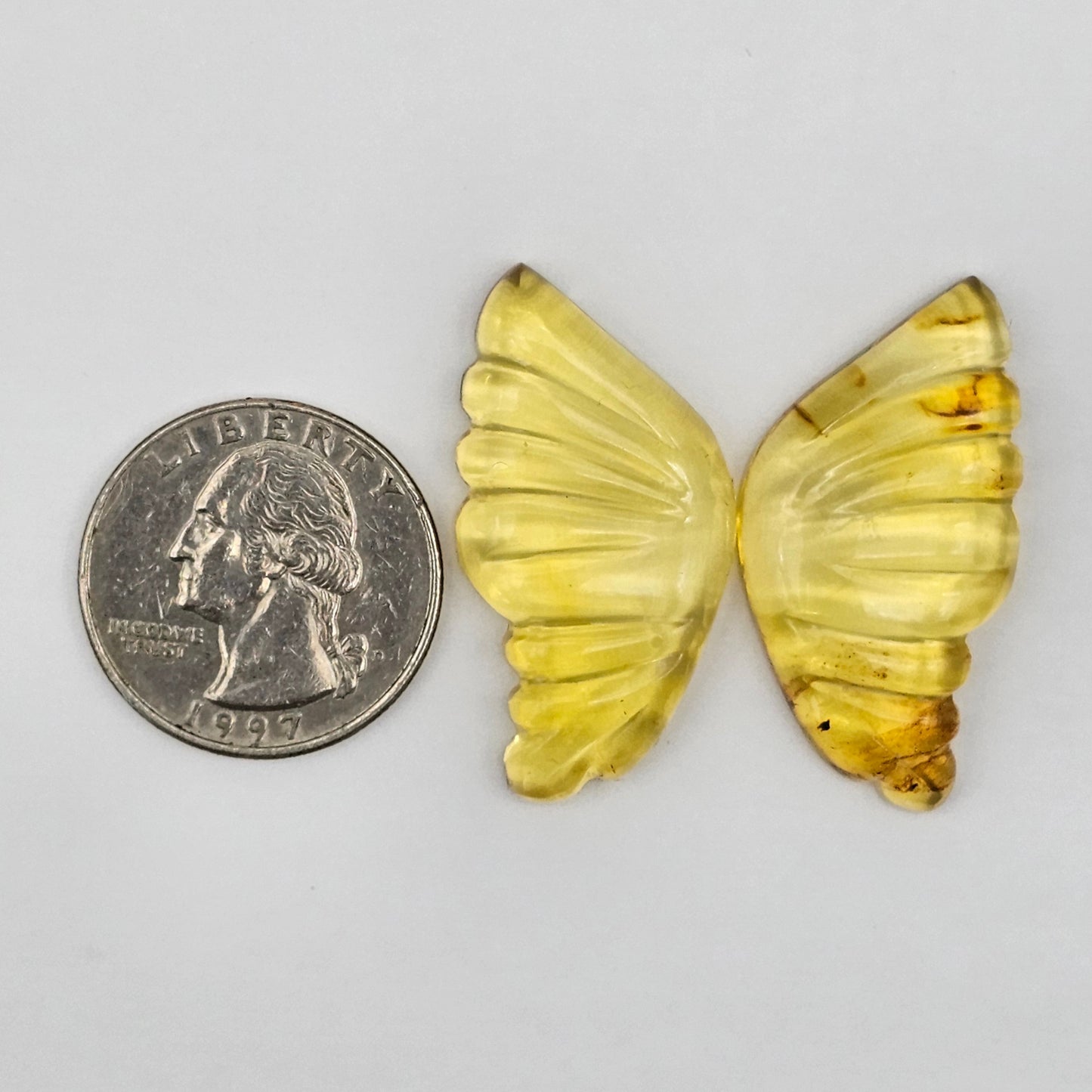 Amber authentic wings cabochon