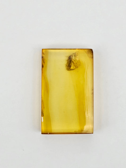 Real amber with insect inclusion
