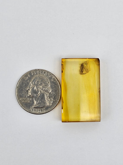 Real amber with insect inclusion