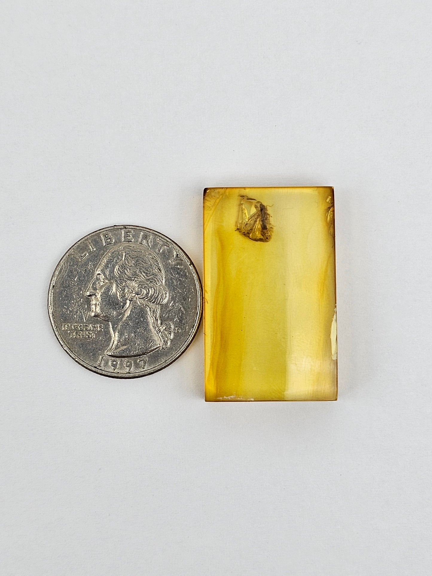 Real amber with insect inclusion
