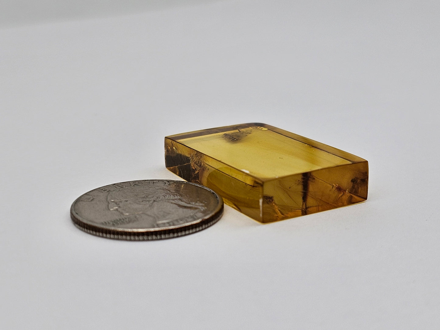 Real amber with insect inclusion