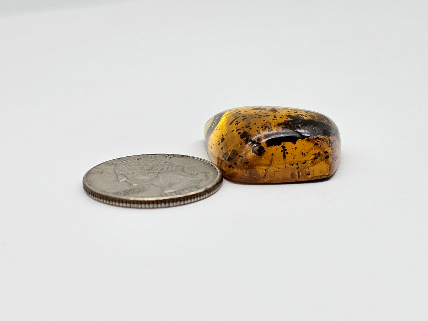 Real amber with insect inclusion