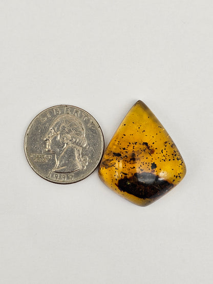 Real amber with insect inclusion