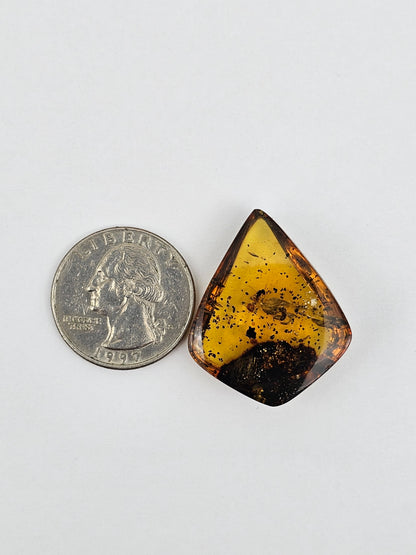 Real amber with insect inclusion