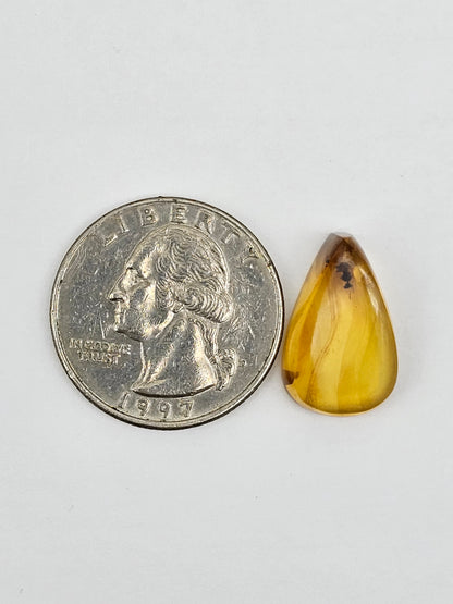 Real amber with insect inclusion