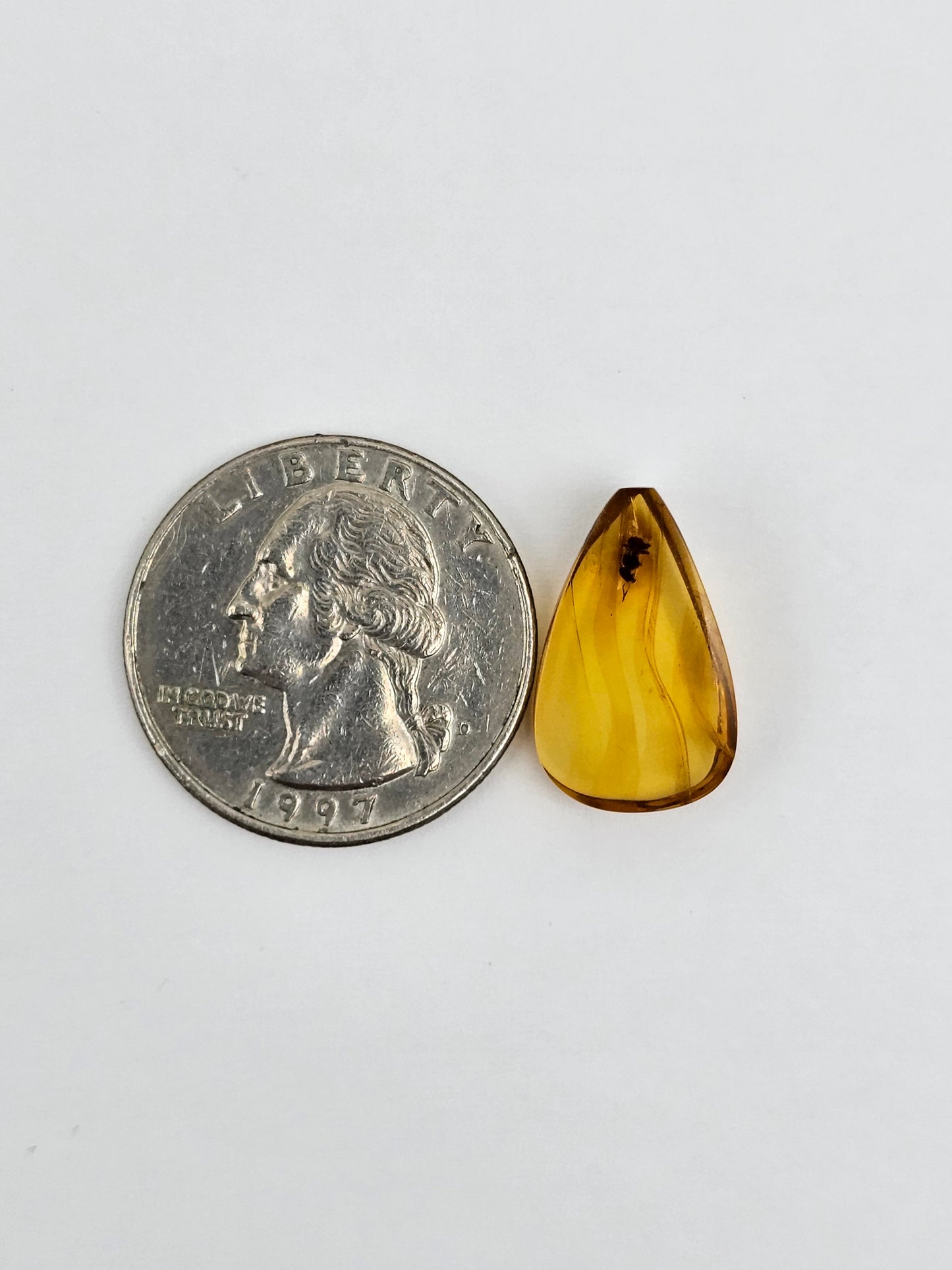 Real amber with insect inclusion