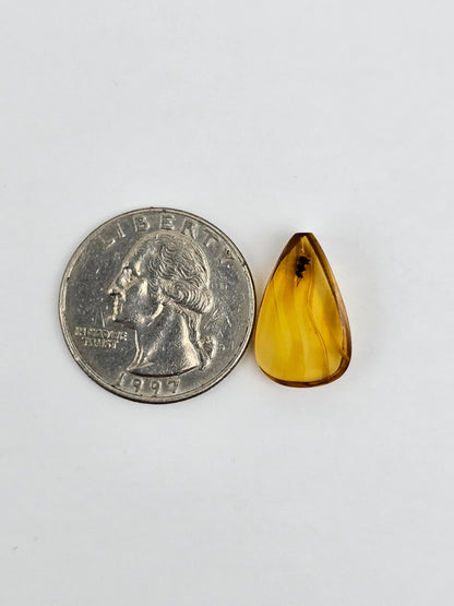 Real amber with insect inclusion