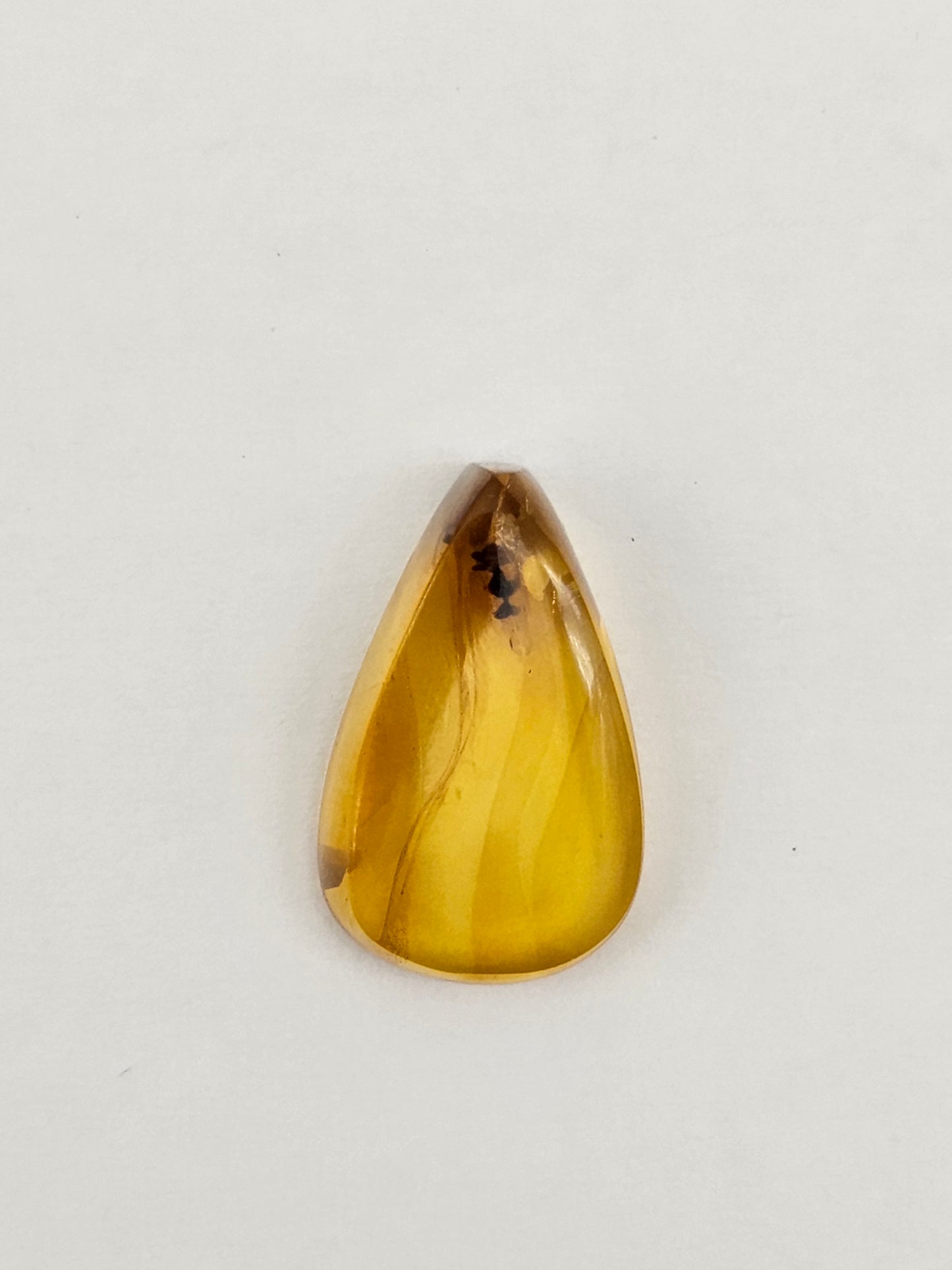 Real amber with insect inclusion