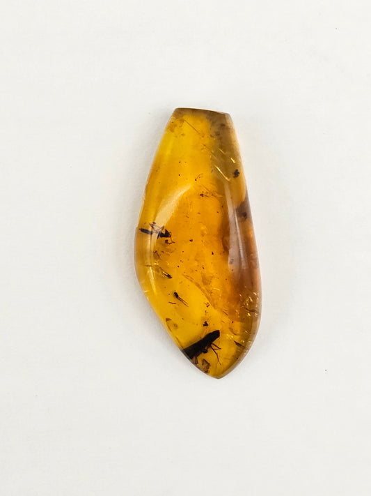 Real amber with insect inclusion