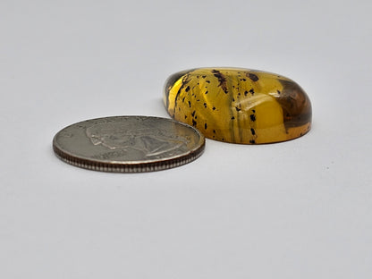 Real amber with insect inclusion