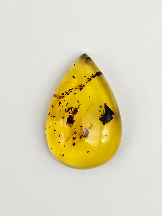 Real amber with insect inclusion