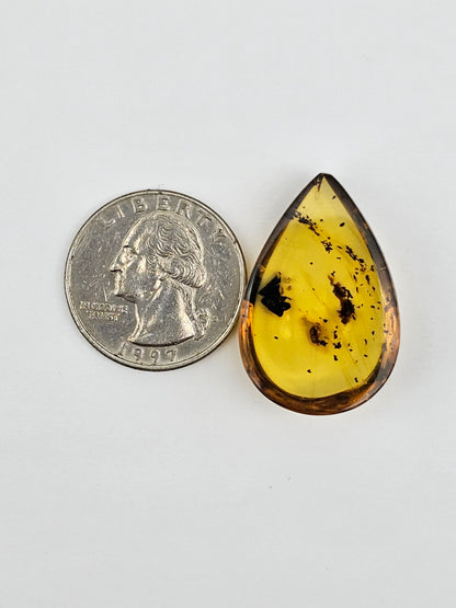 Real amber with insect inclusion