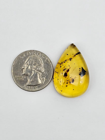 Real amber with insect inclusion