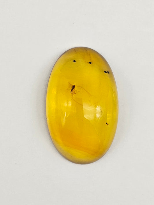 Real amber with insect inclusion