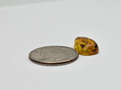 Real amber with insect inclusion