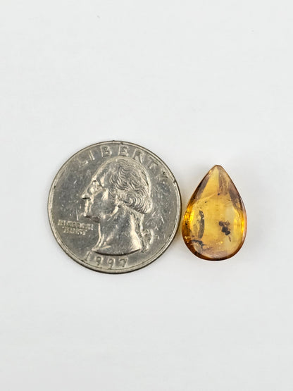 Real amber with insect inclusion