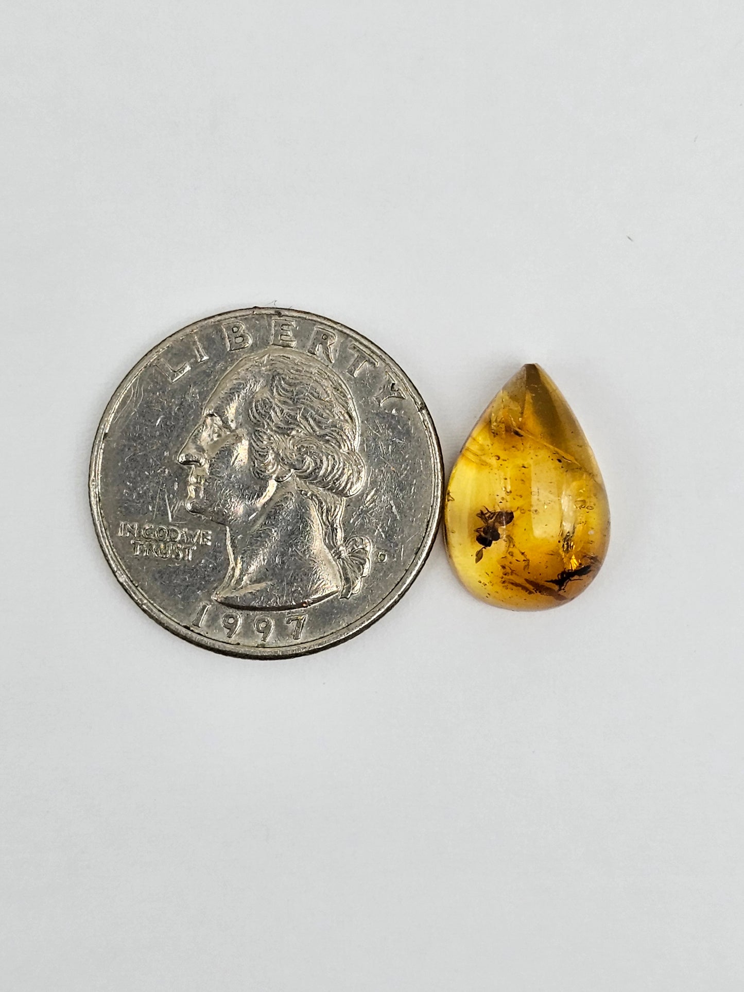 Real amber with insect inclusion