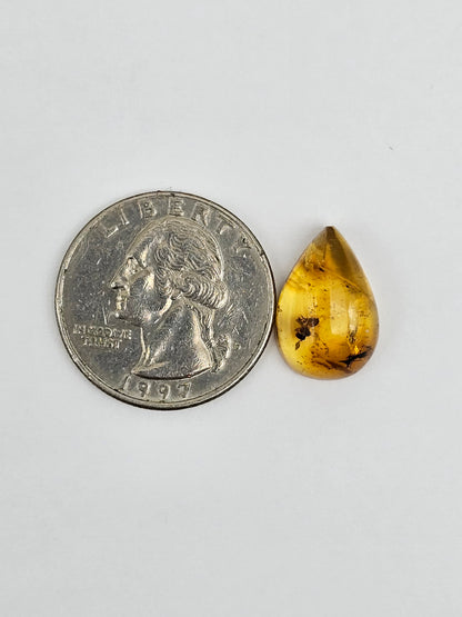 Real amber with insect inclusion