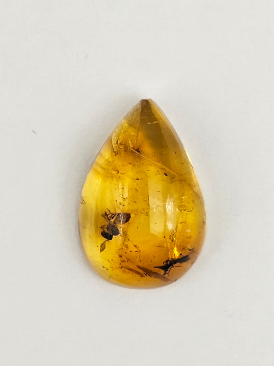 Real amber with insect inclusion
