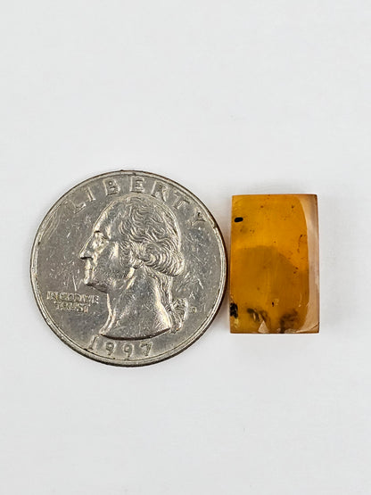Real amber with insect inclusion
