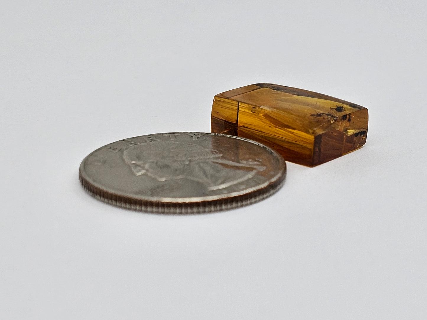 Real amber with insect inclusion