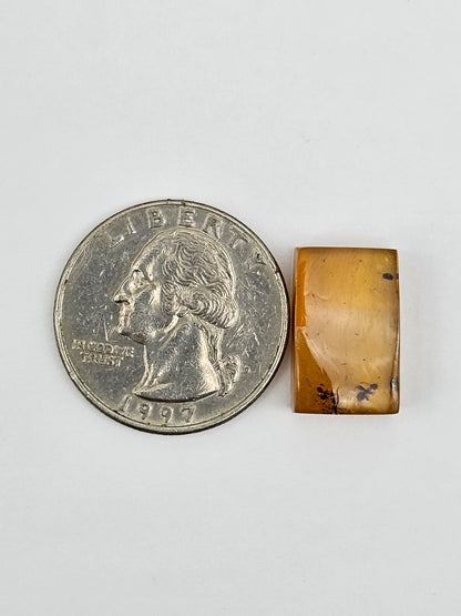 Real amber with insect inclusion