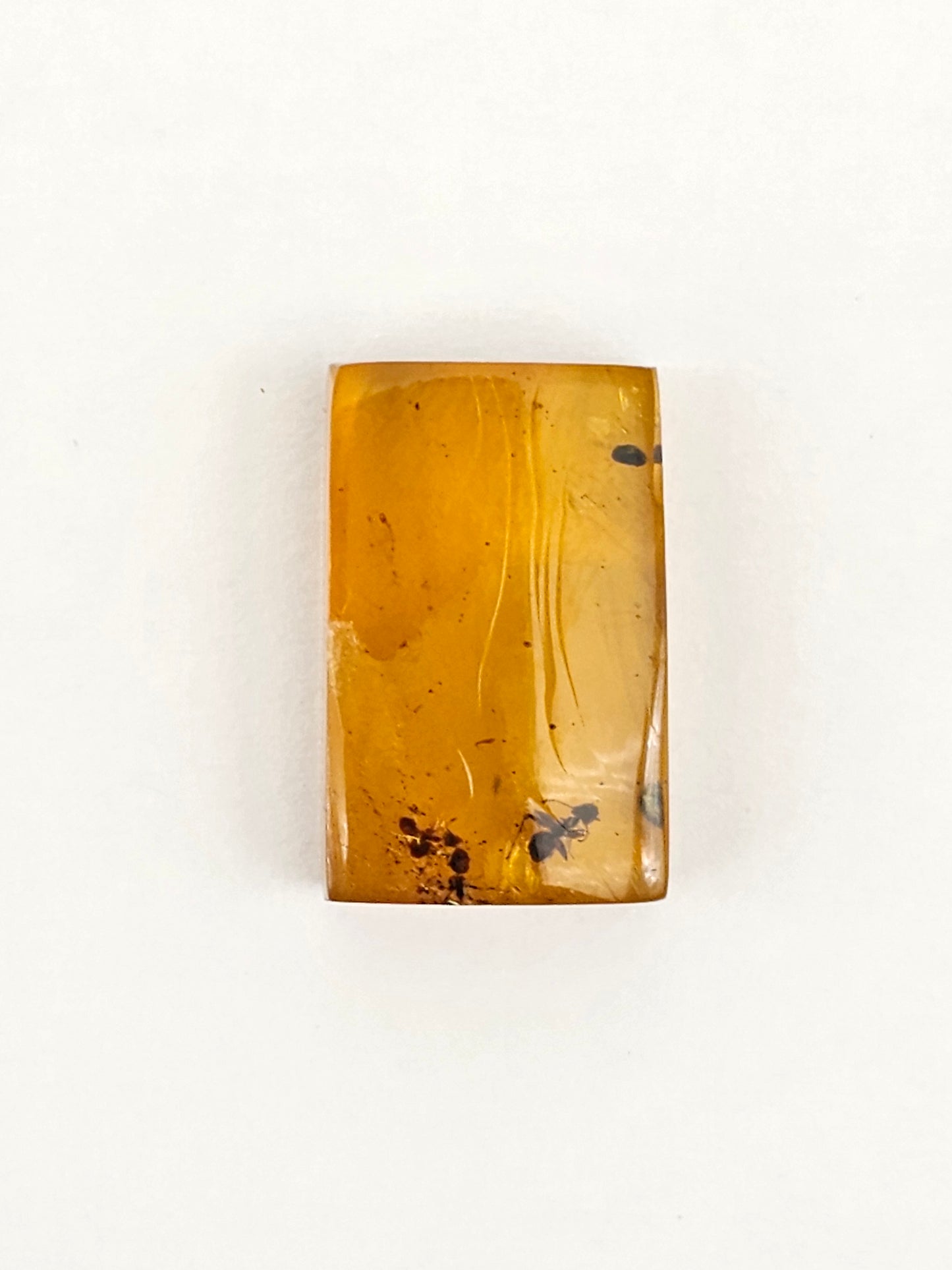 Real amber with insect inclusion