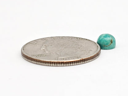 Mexican Turquoise Cabochon | Artisan Cut Gemstone