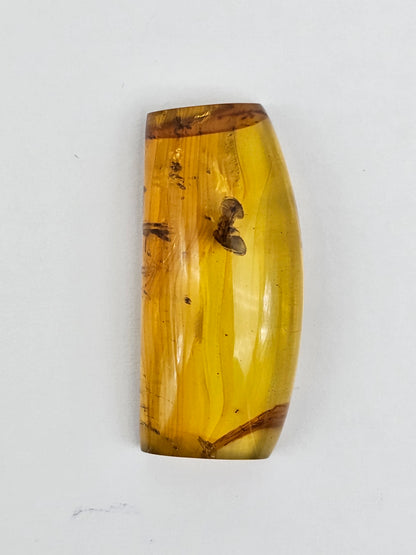 Real amber with insect inclusion