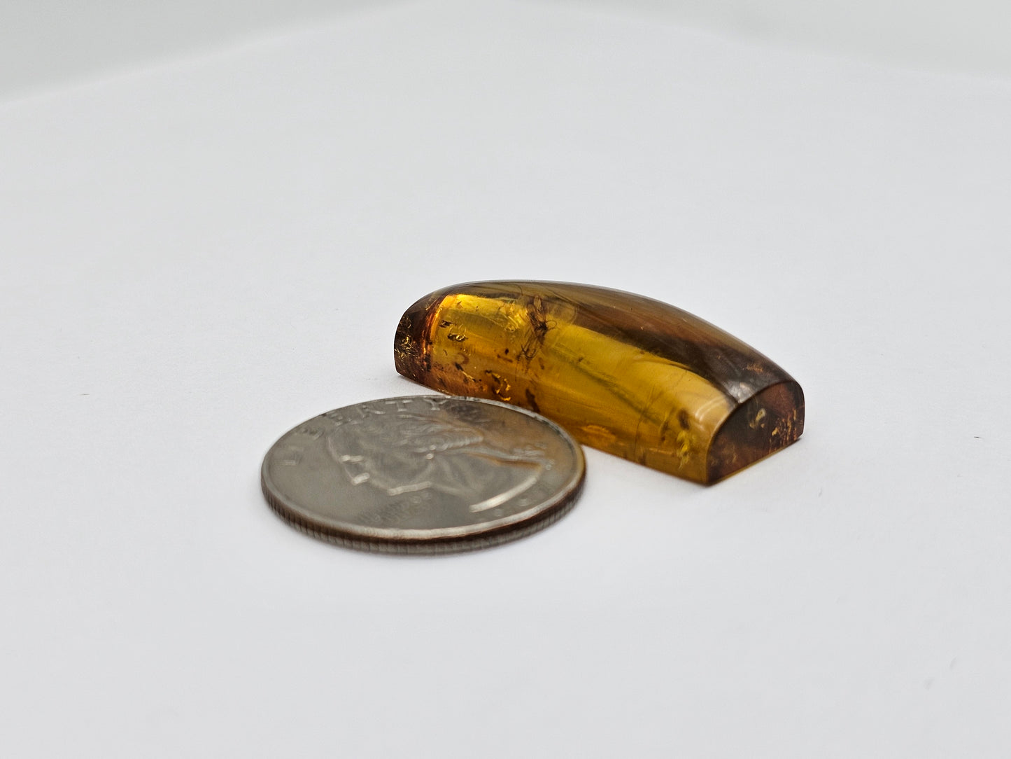 Real amber with insect inclusion