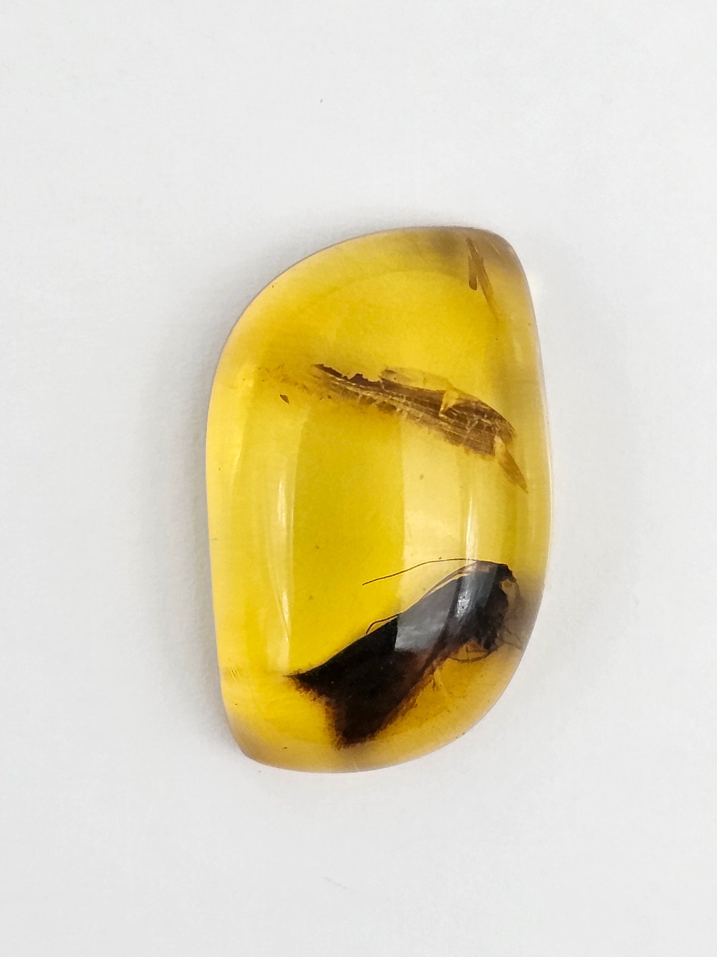 Real amber with insect inclusion