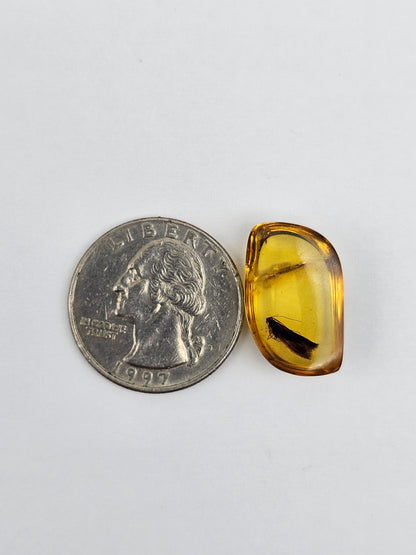 Real amber with insect inclusion
