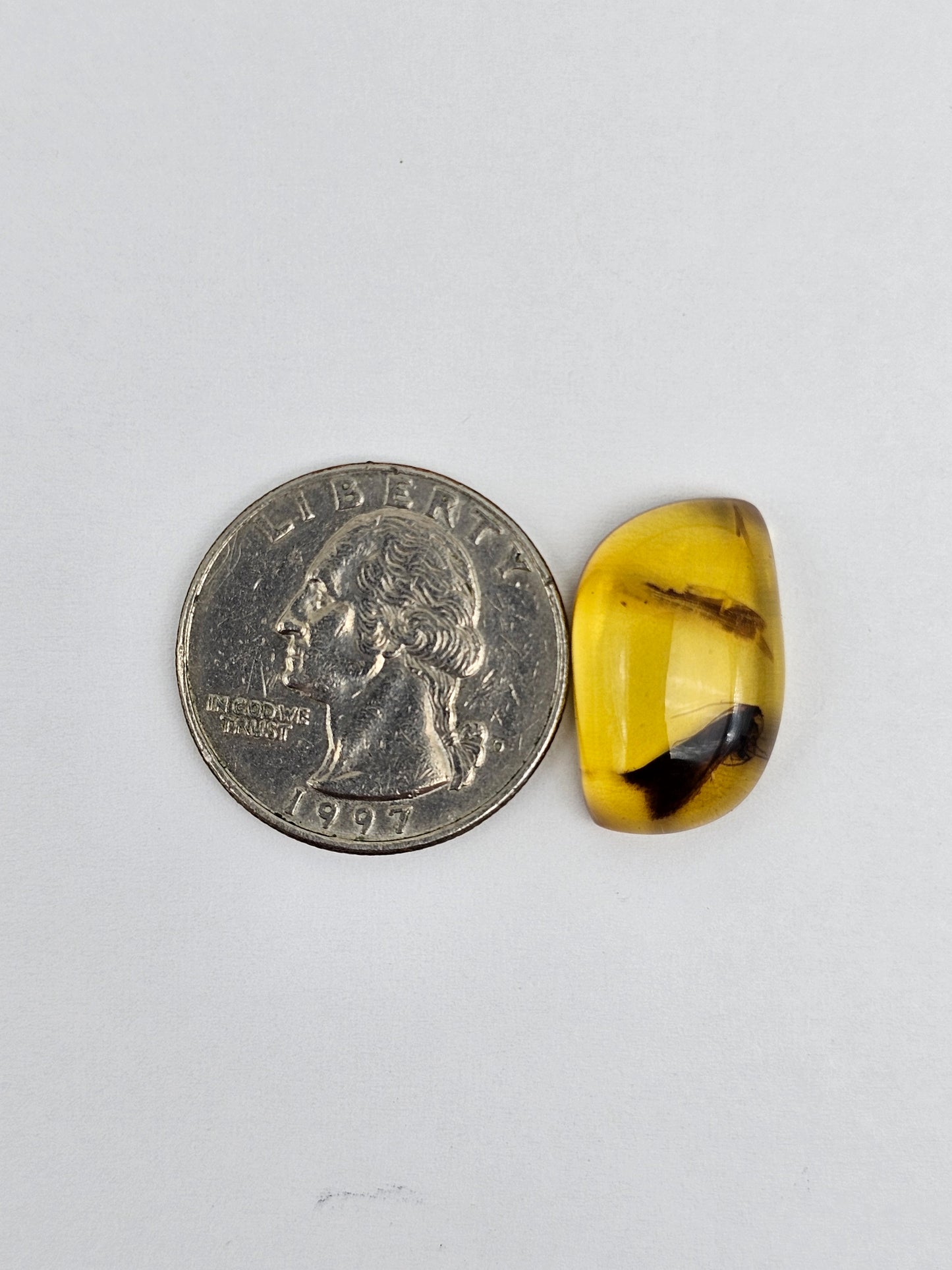 Real amber with insect inclusion