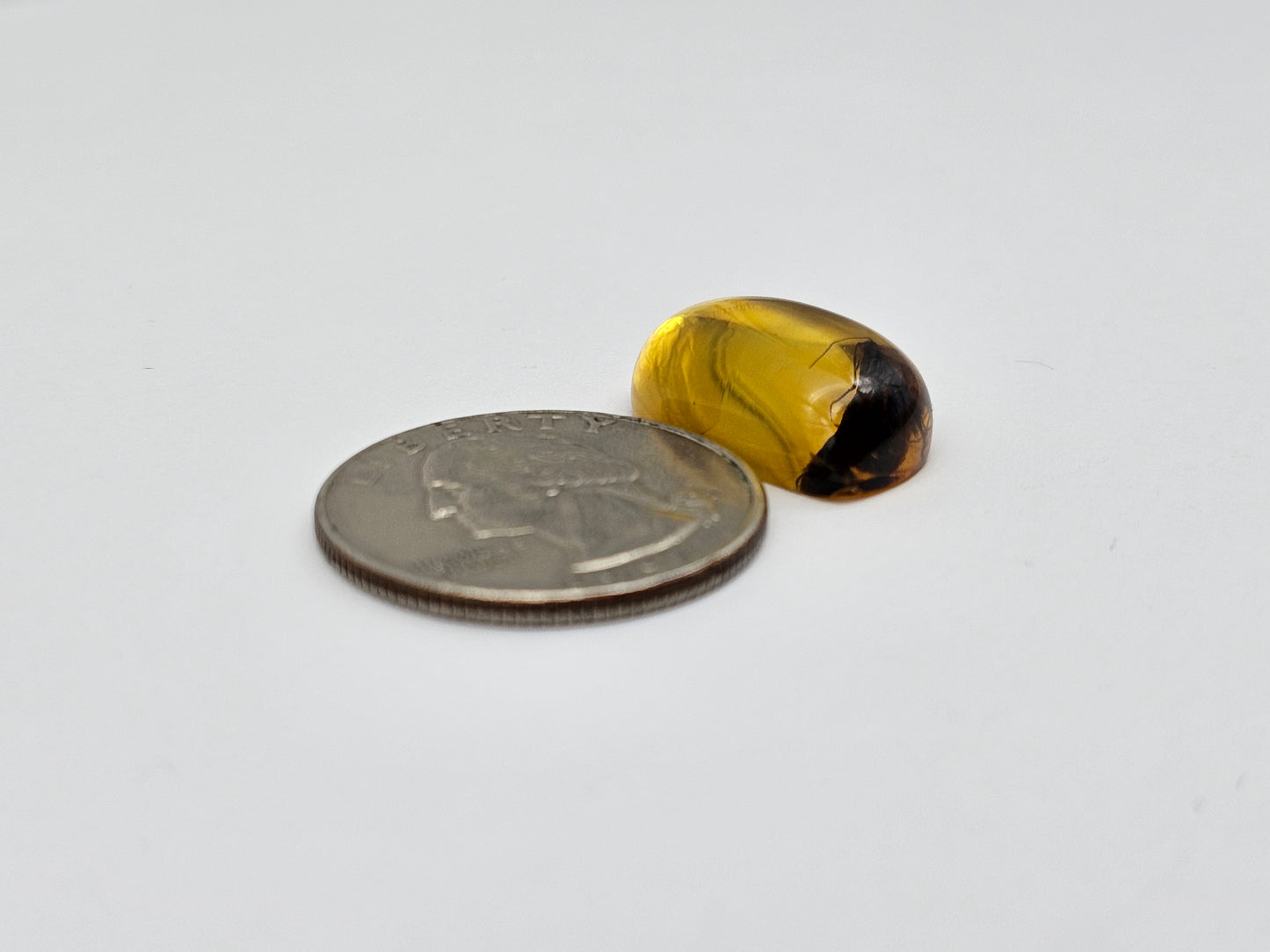 Real amber with insect inclusion