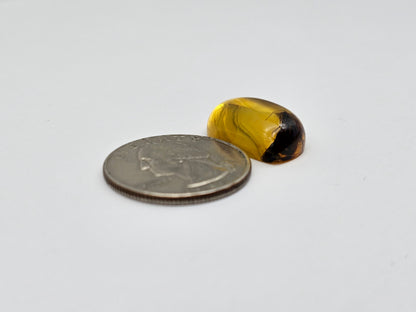 Real amber with insect inclusion