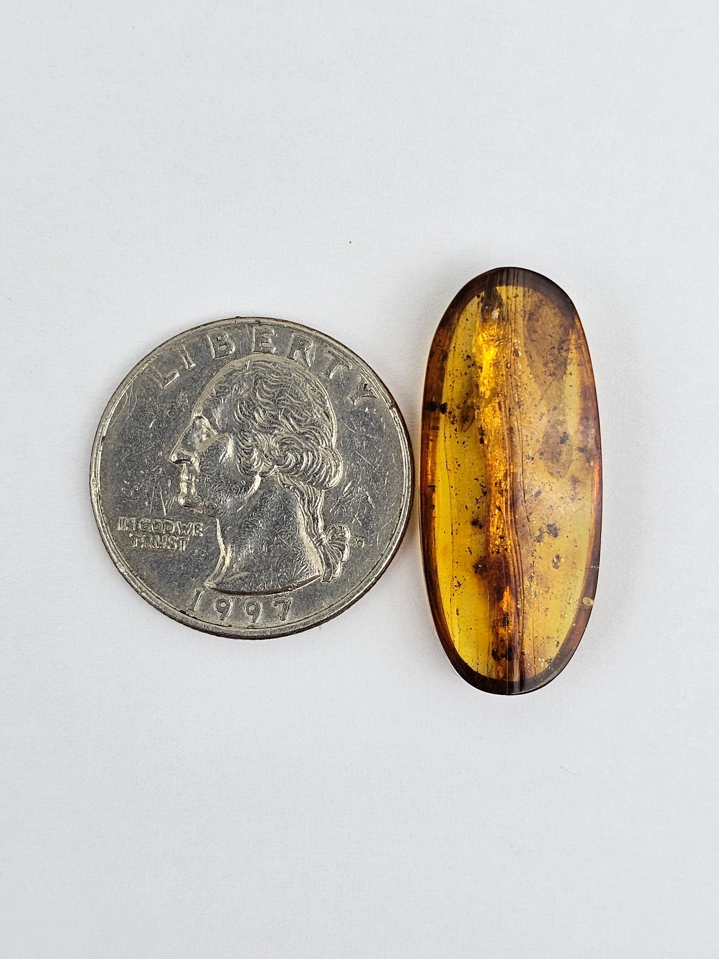 Real amber with insect inclusion