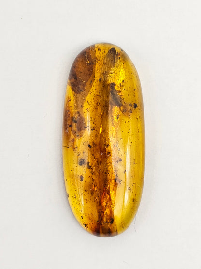 Real amber with insect inclusion