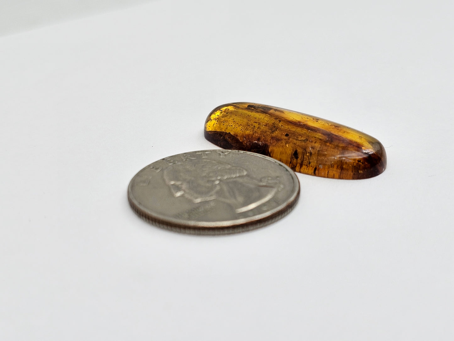 Real amber with insect inclusion
